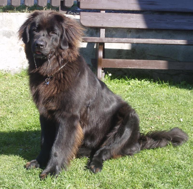 Foto: Viky z Krkono�