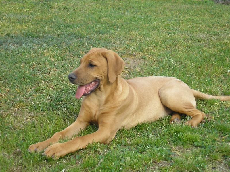 Foto: Bruno-Bruno odpo��v�