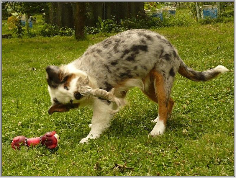 Foto: j� ti d�m ne��de