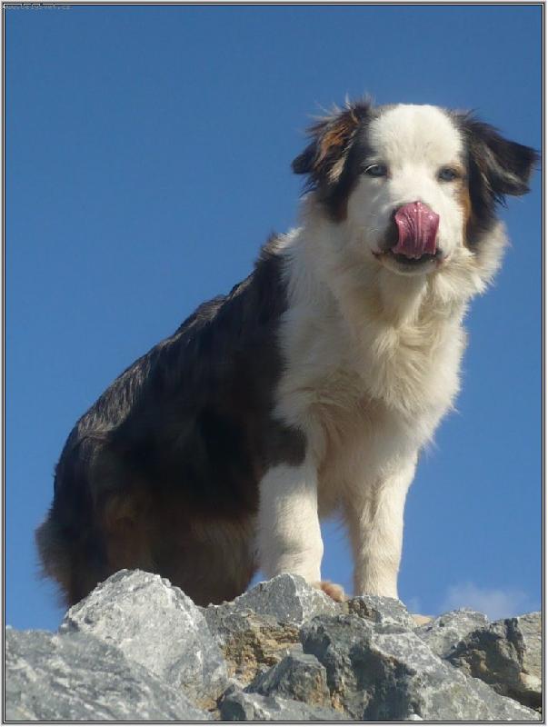 Foto: chce� �amt�ka ?