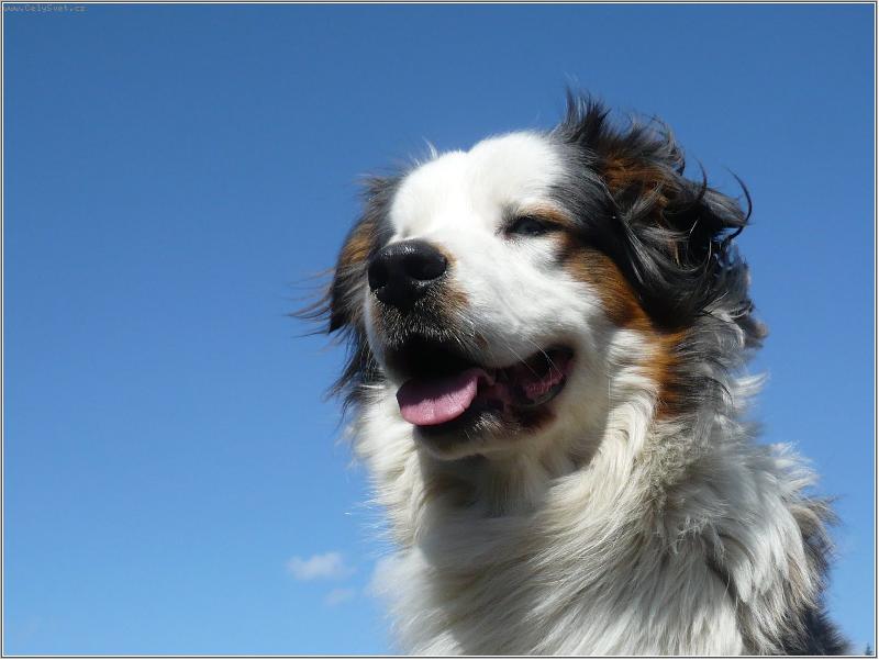 Foto: n�kde v d�lce