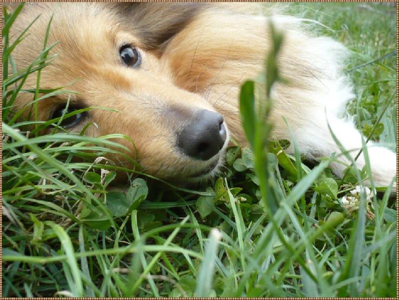 Foto: Bibi - slunce moje m�m T� v srdci