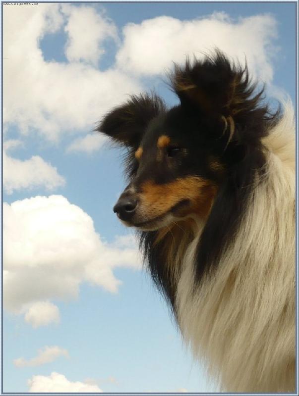 Foto: kam vlastn� kouk� ?