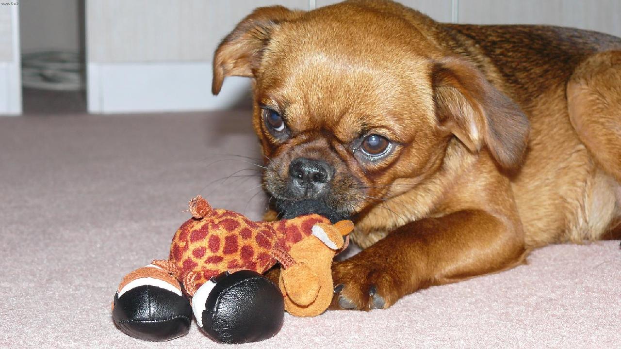 Foto: Na�e Allynka