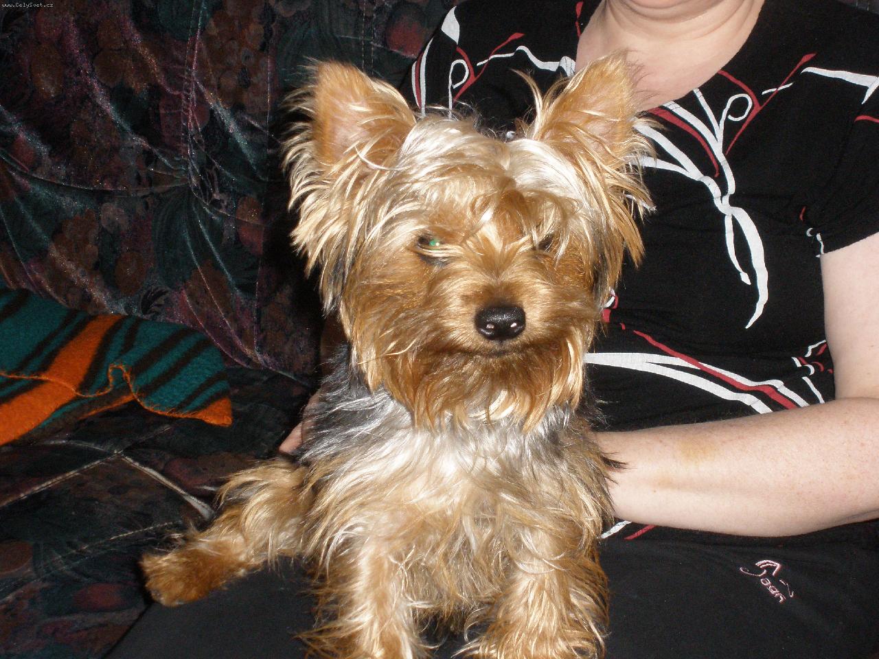 Foto: m�j mil��ek Terry-Bob�sek:)