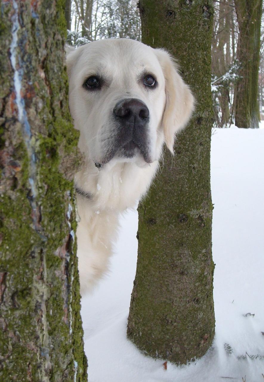 Foto: Domingo de Bismill�hi-Na proch�zce