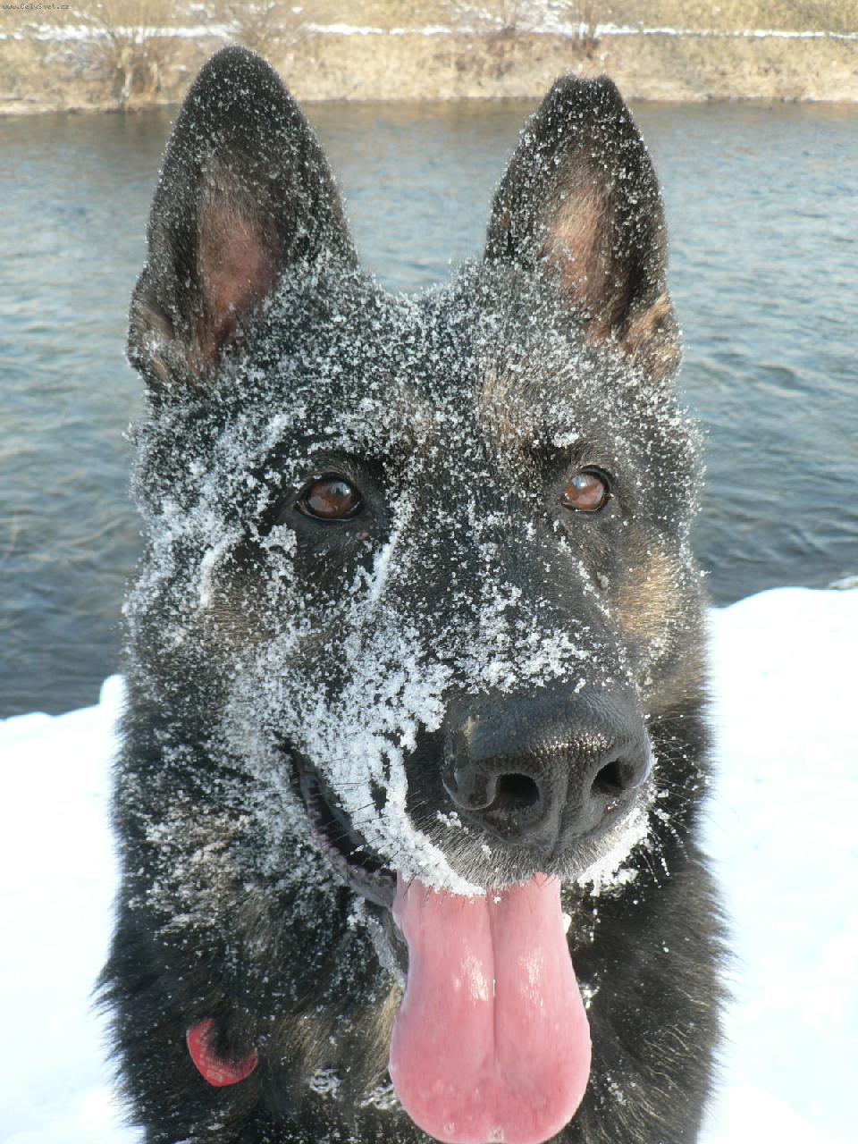 Foto: Gera-Sne�n� maska