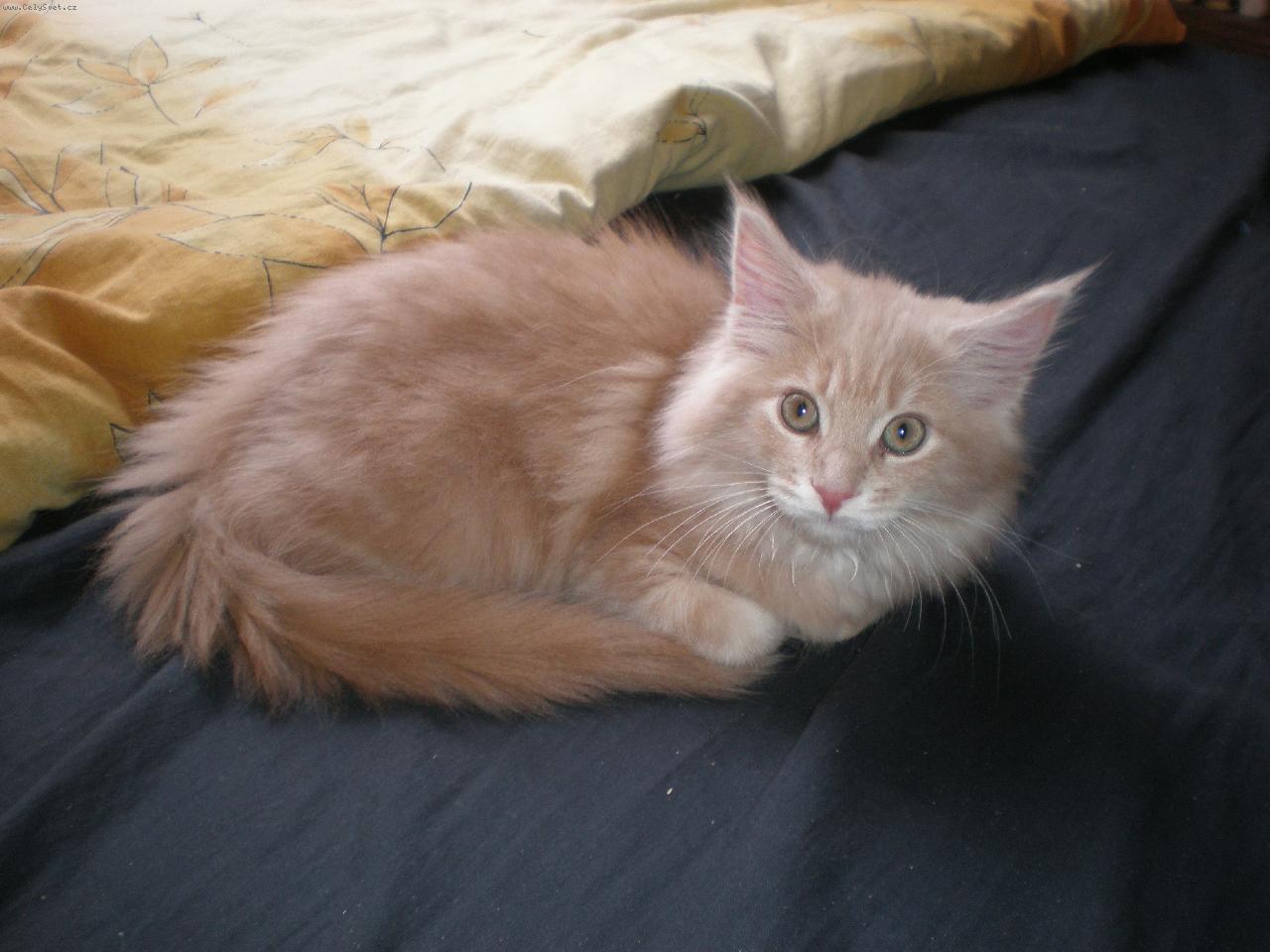 Foto: Barnab� (4 m�s�ce)