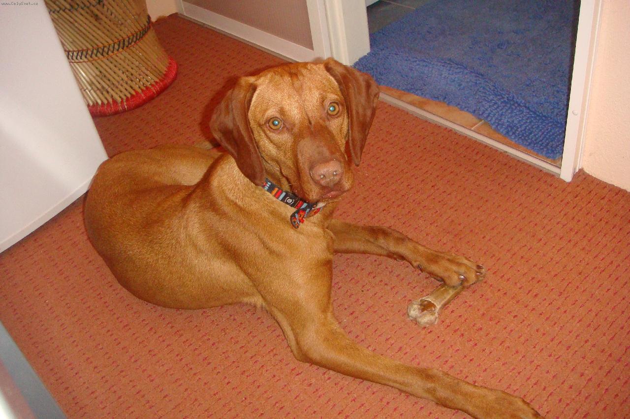 Foto: MAILA z Topoln�