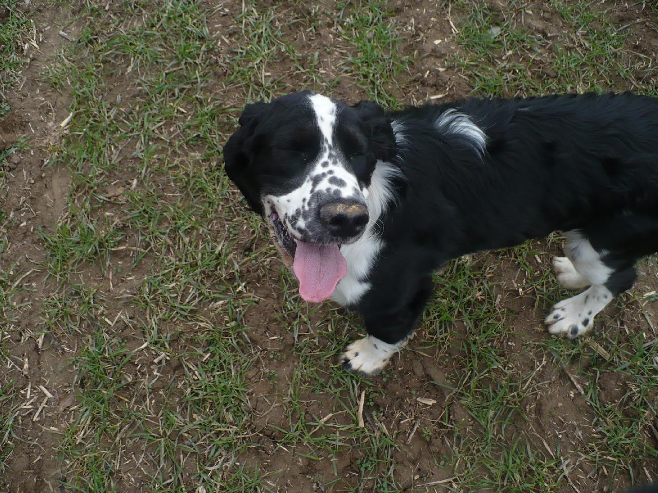 Foto: ���sm�v