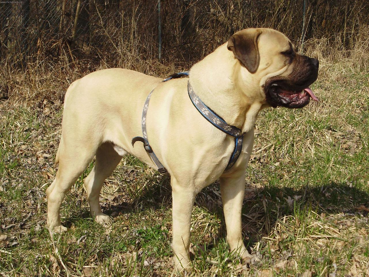 Foto: profil z prava