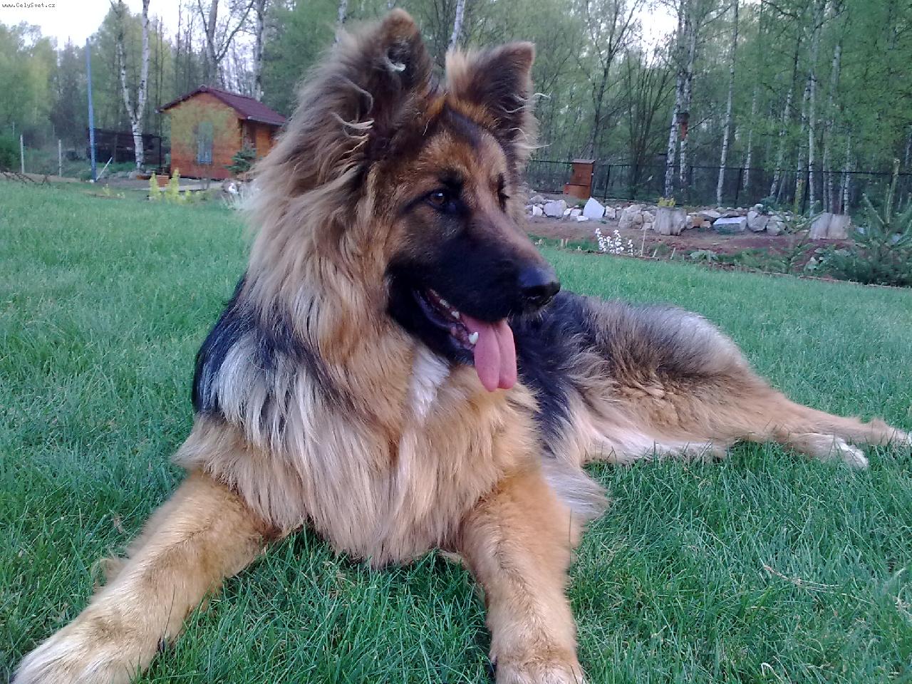 Foto: Dixinka 9m�s�c�