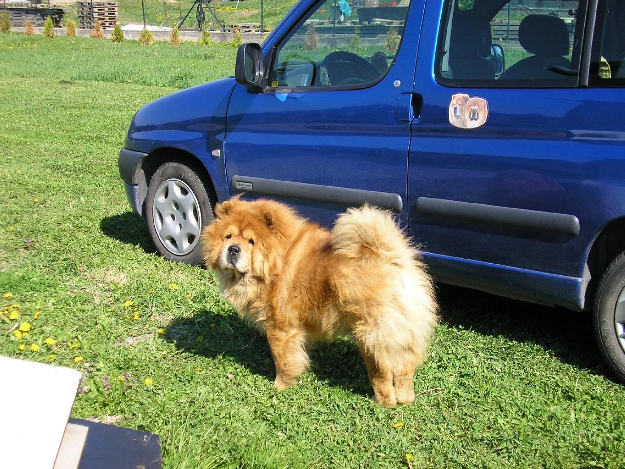 Foto: moje aut��ko