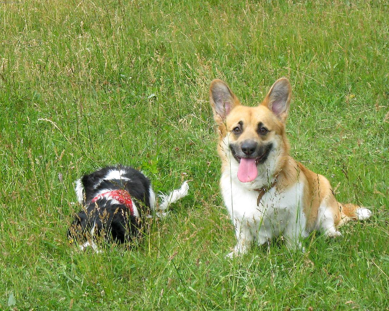 Foto: st�le pln� energie-Isabella Higu