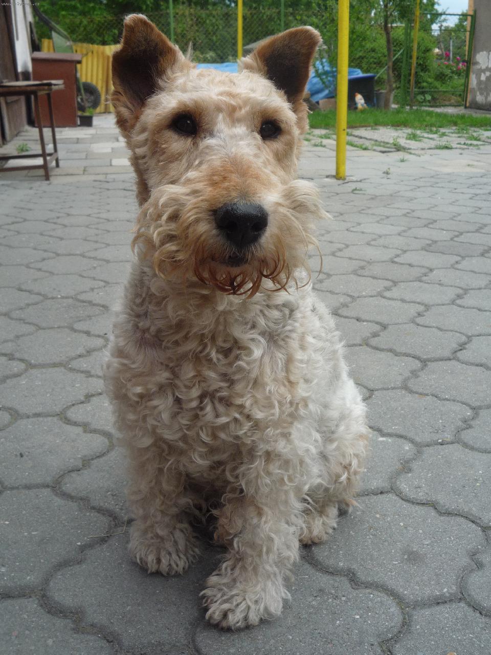 Foto: pojd� za mnou-Bella