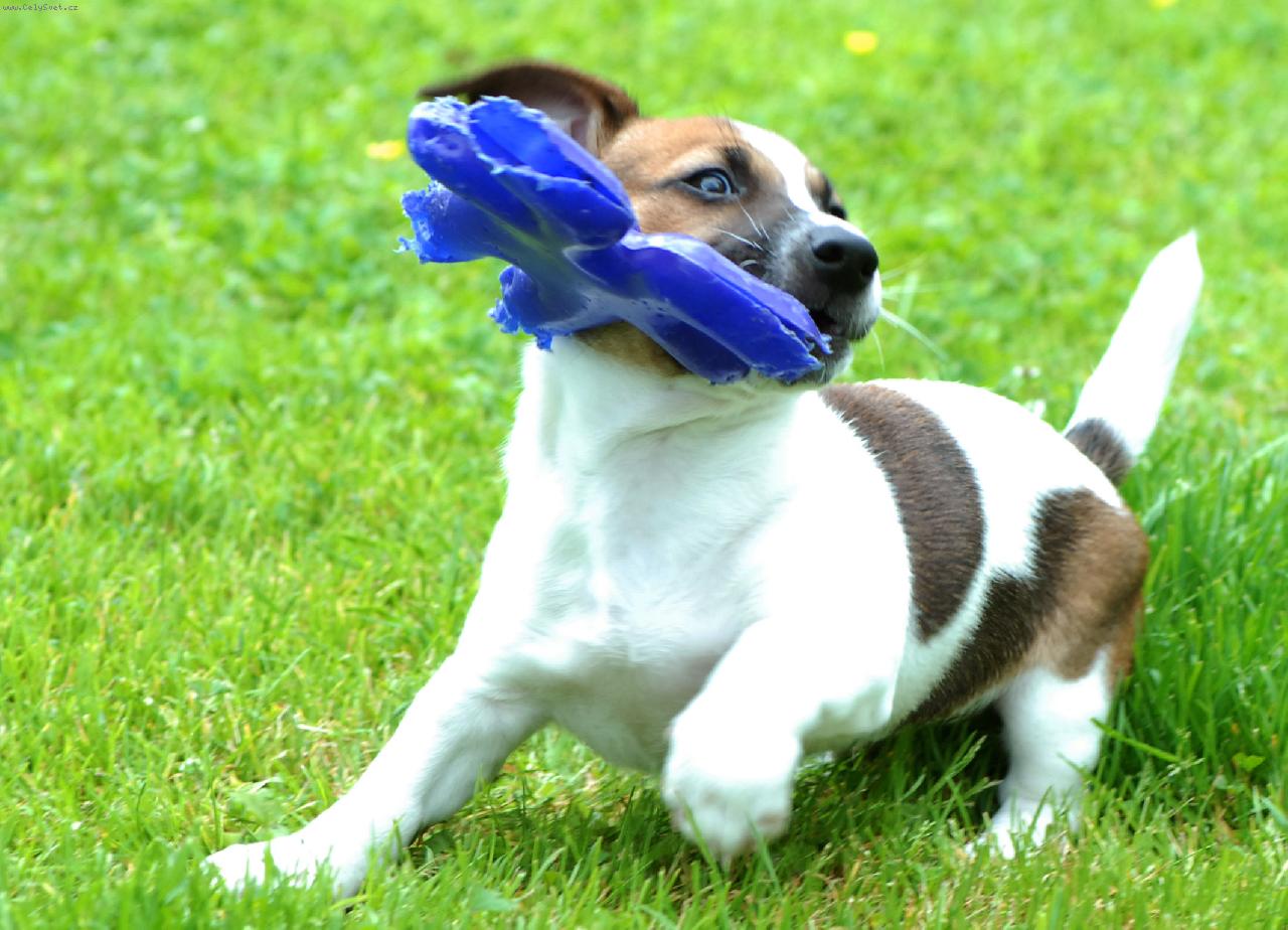 Foto: ... to je moje...