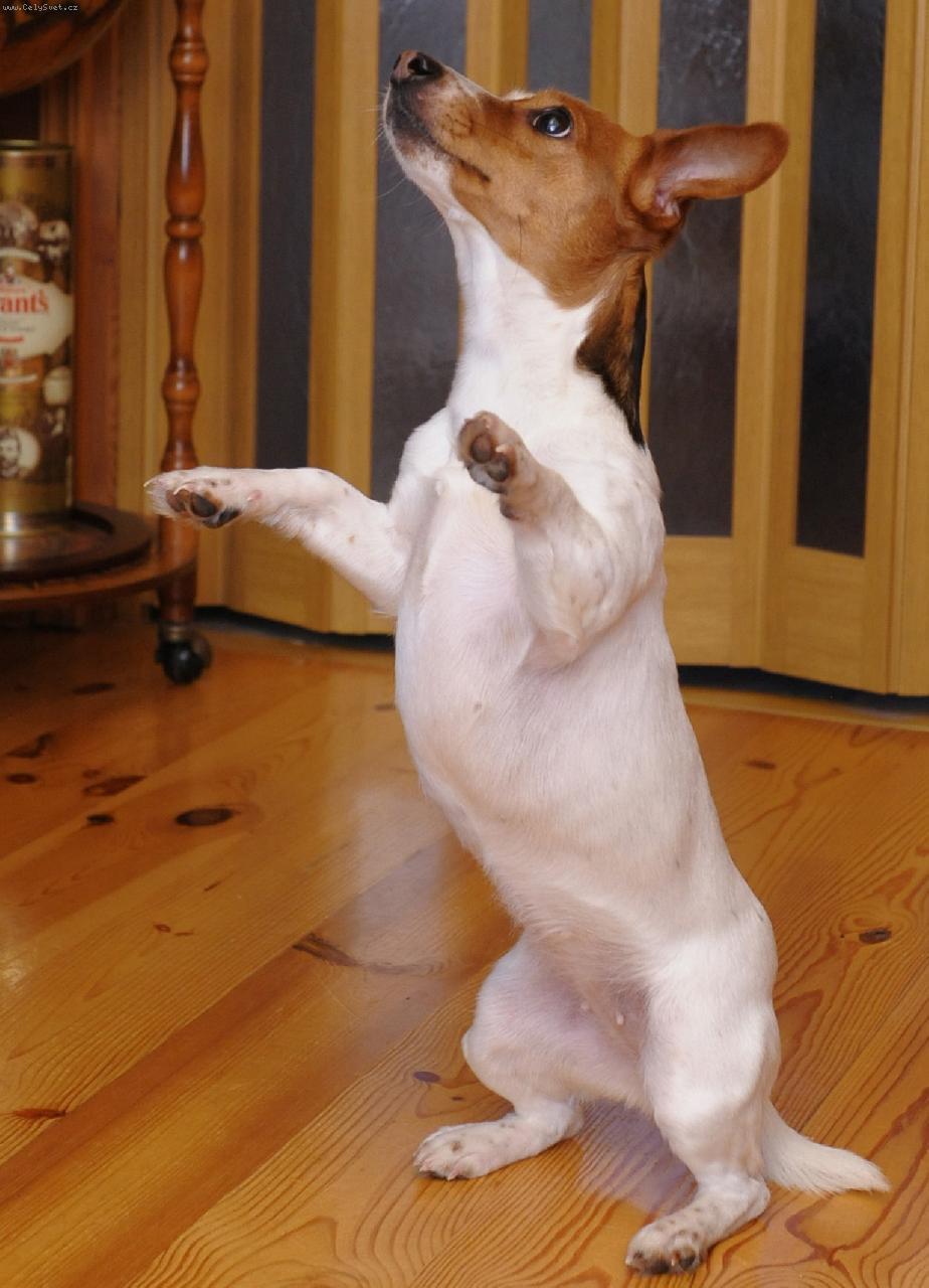 Foto: Na�e mal� Ka�enka