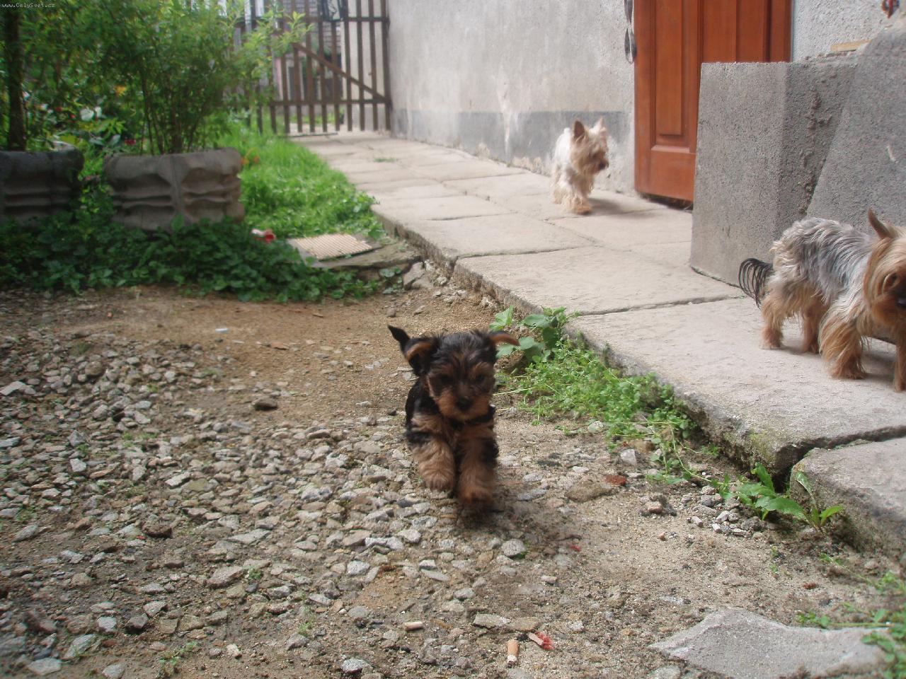 Foto: na�e �t���tka-�t���tka