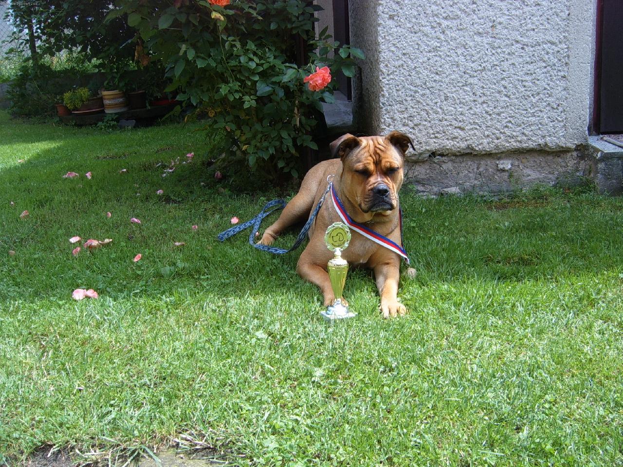 Foto: Atisa od Soutoku Orlic