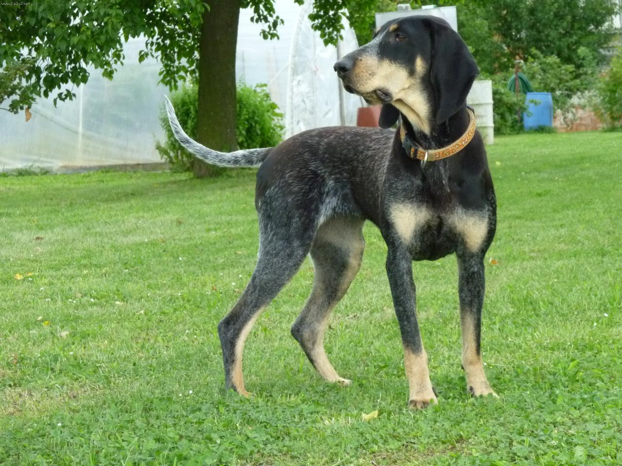 Foto: Bessy Brunohrad