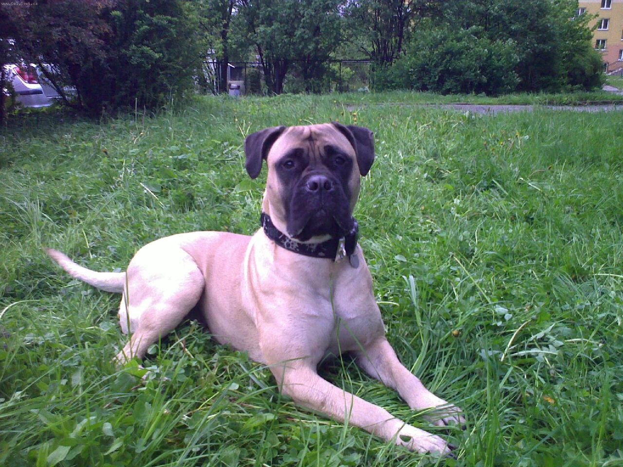 Foto: Fatyma Nad�je ze Zvole