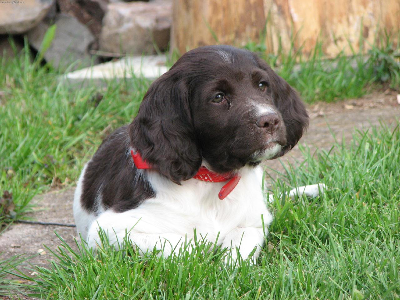 Foto: Arka od Pramene Rokytky