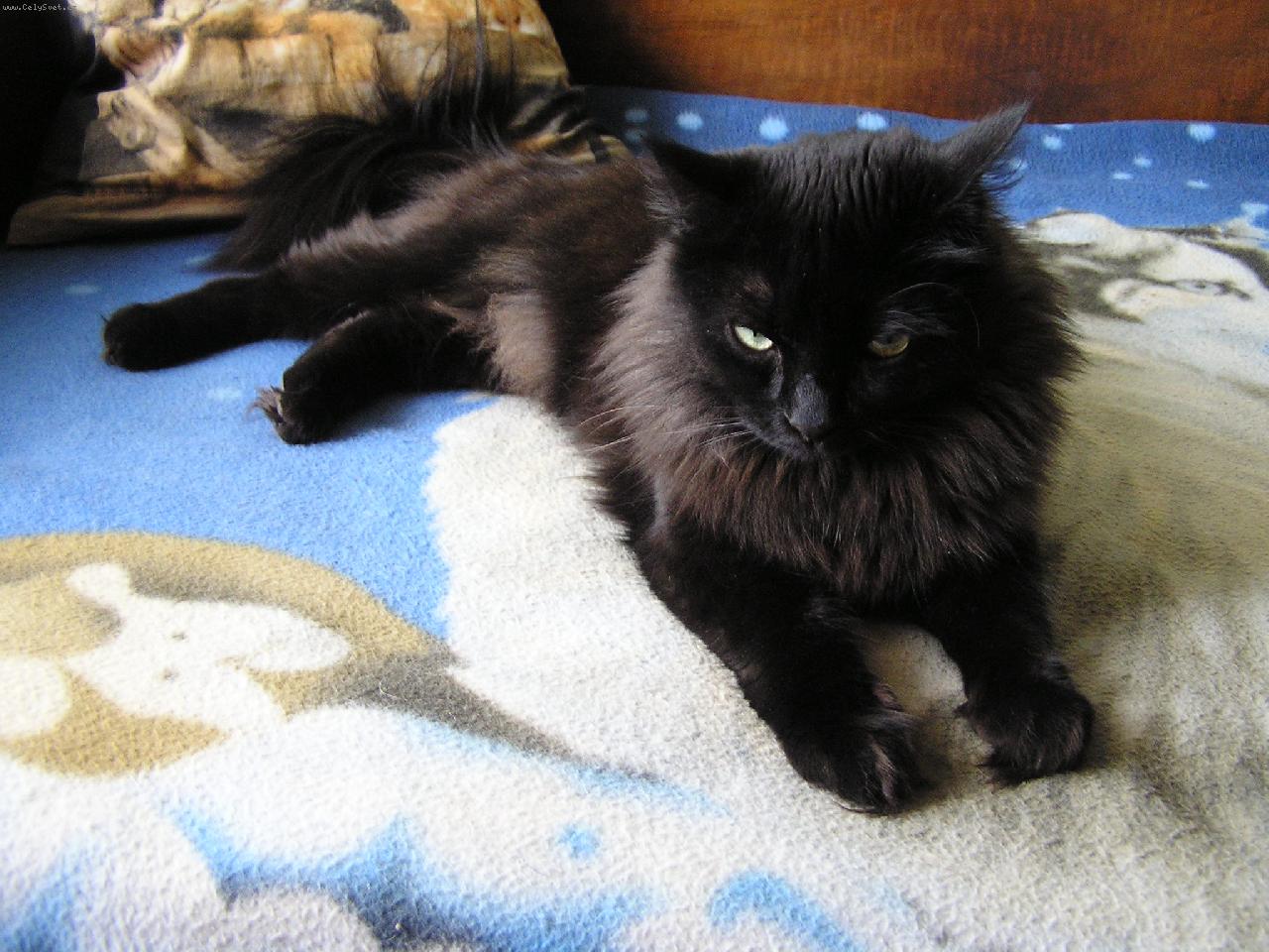 Foto: B�ra odpo��v�