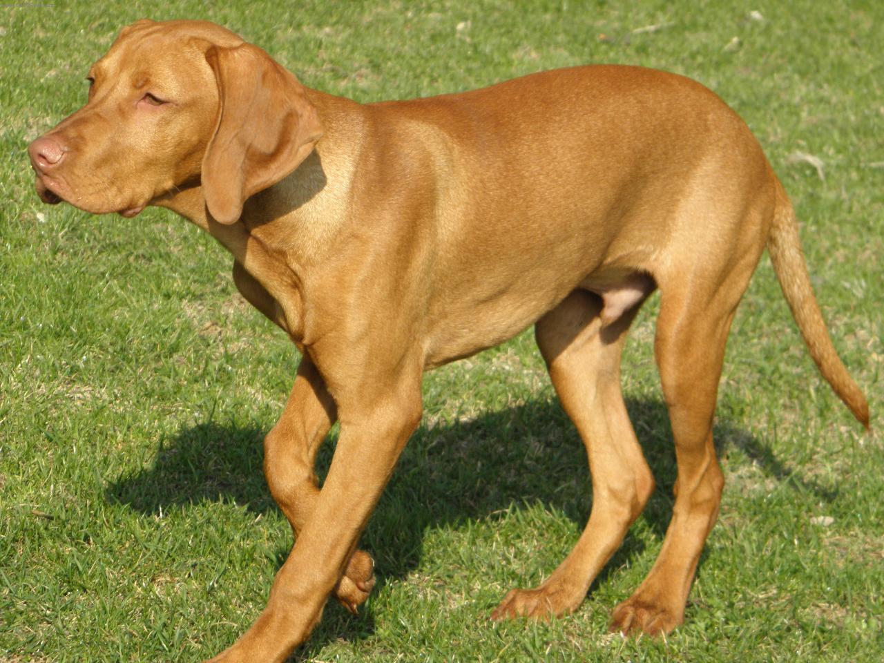 Foto: Argo z D���na