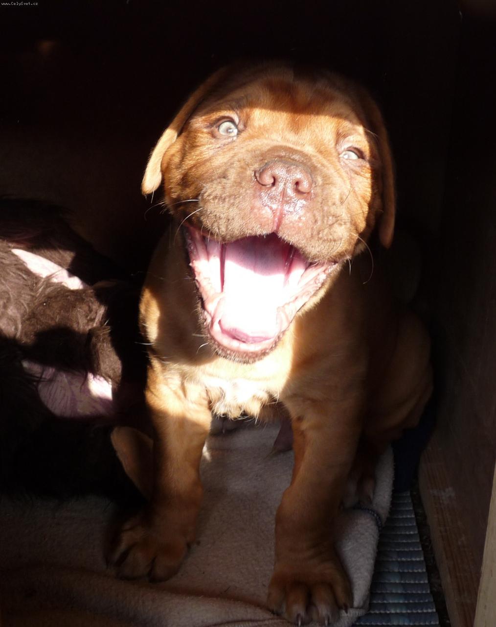 Foto: St�le sm�j�c�