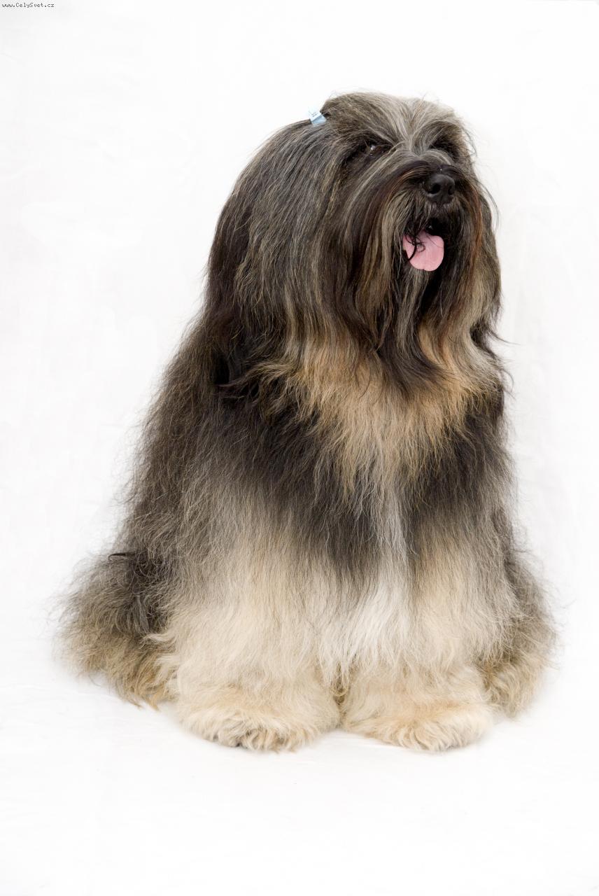 Foto: C�Siddhi Kipu Khyim