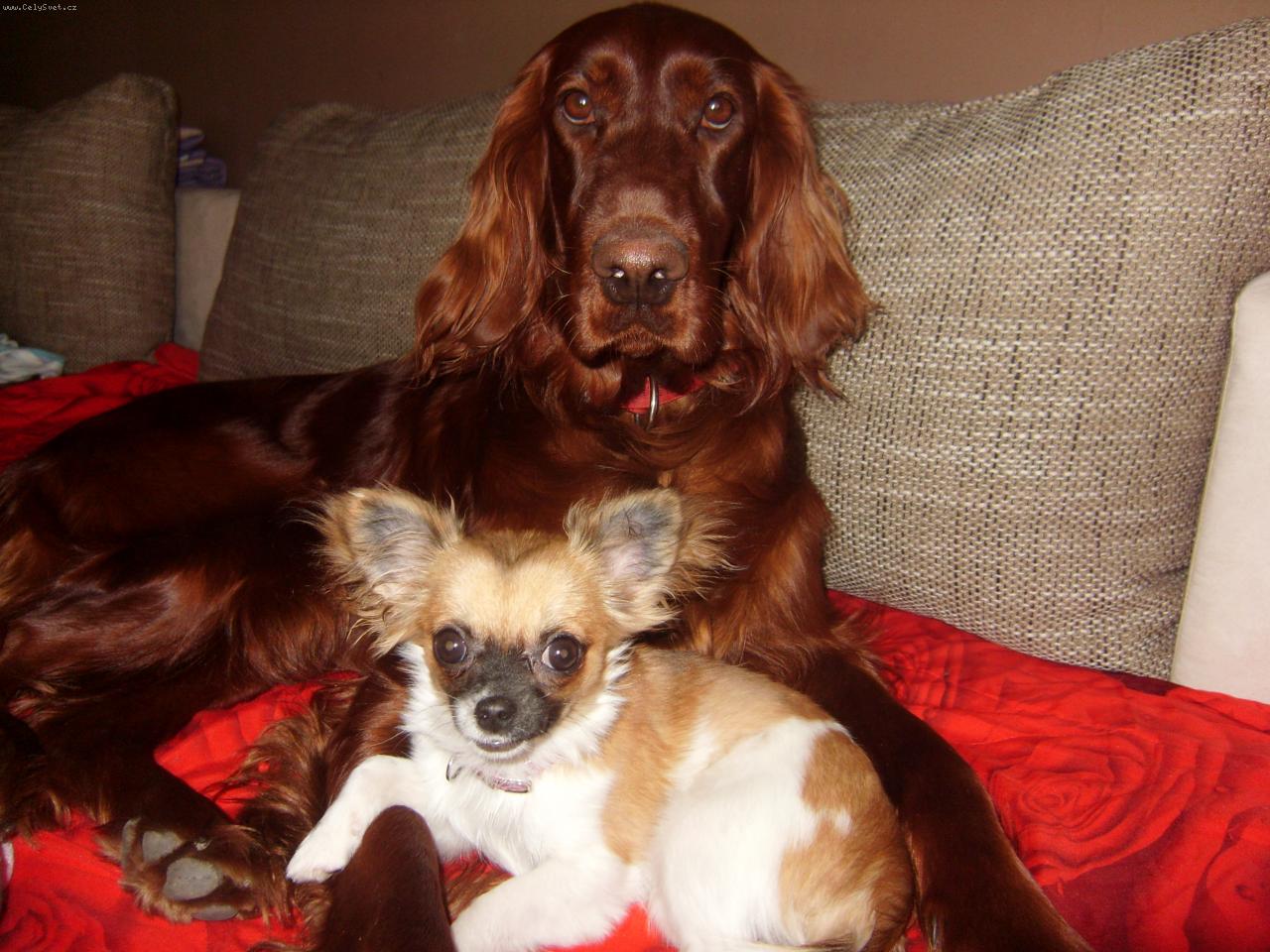 Foto: mil��ci-terezka