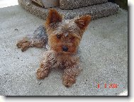 Bert�k