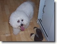 Andy z �erven�ch roklin