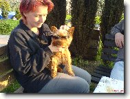 N� Muff�nek