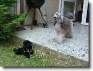 Na�e holky