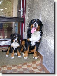 max�k a sam�k