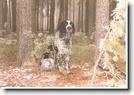 Or z L�ck�ho bo��