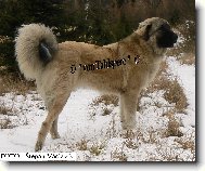 Areta Kreutzweg von Tahlspere - 9. m�s�c v�ku