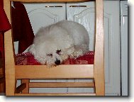 odpo�inek