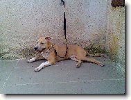 arny na v�let�