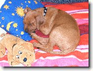 Odpo�inek