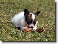 Bettynka m� �i�ti�ku