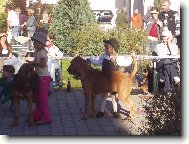 Mal� vystavovatelka