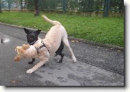 Bitka to j� nejrad�ji