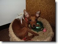 Niky alias and�l��ek..:D