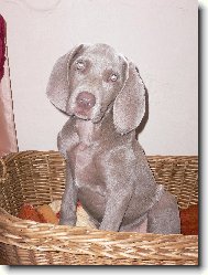 je�t� se do ko��ku vejdu