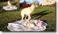 B�ra a rodinka