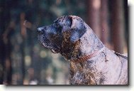 Crusado Maokama ,�est let