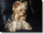 Beru�ka