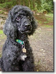 koukej jak mi to slu��